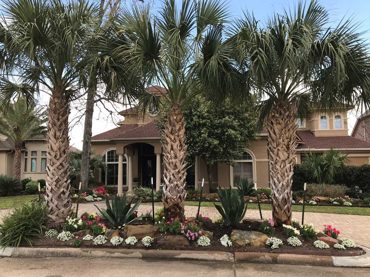 Palm trees frame a beige house with a brown roof, surrounded by a colorful flower bed.