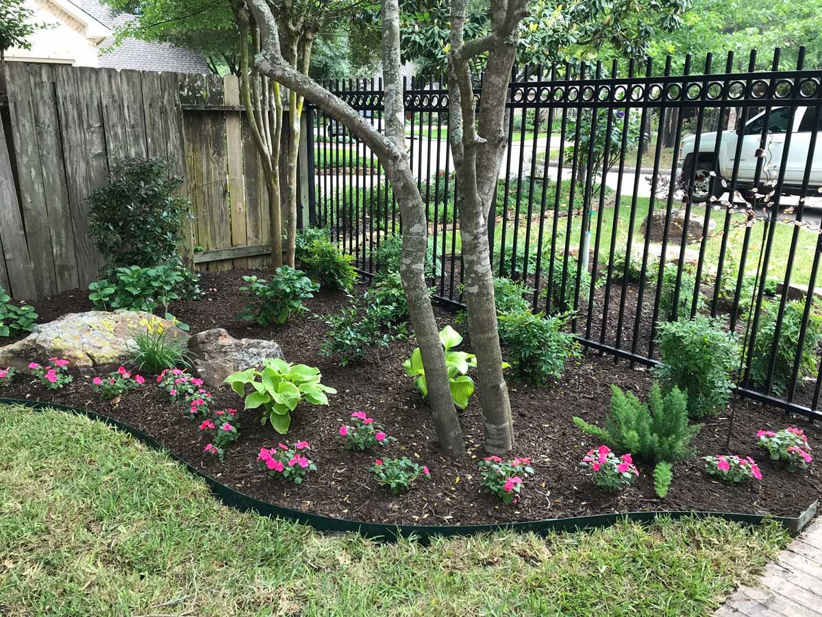 A landscaped garden bed with a tree, colorful flowers, and a black fence.