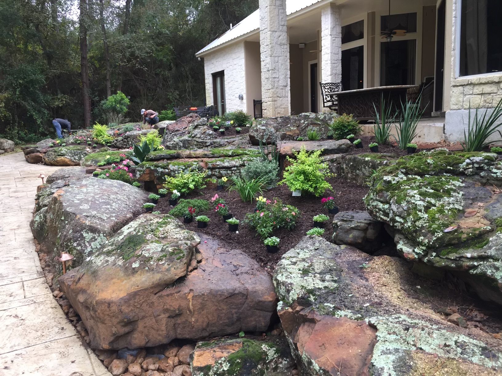 Landscaped garden bed with large rocks, plants, and a house in the background.