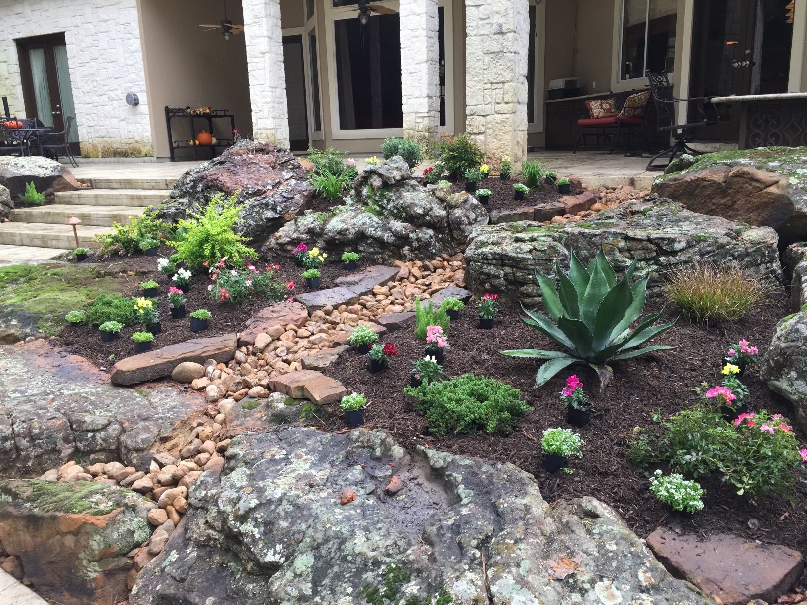 Rock garden with various plants and flowers in front of a house, with a small stream of rocks.