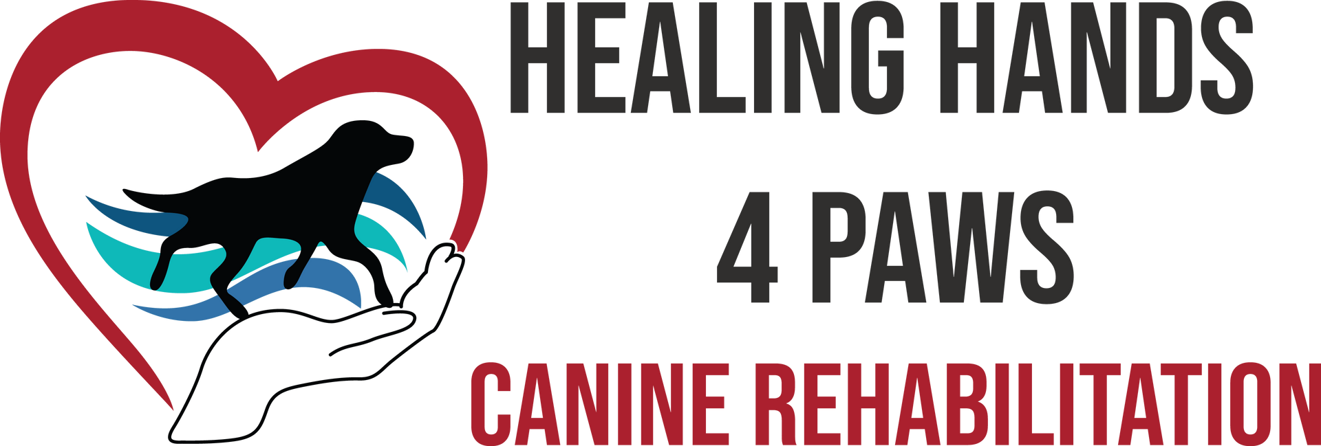 Our Team Healing Hands 4 Paws