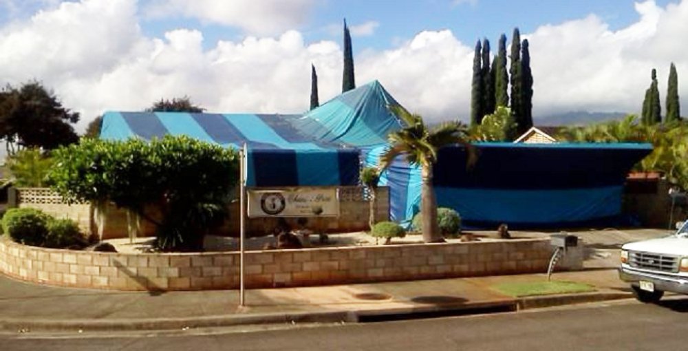 ChemiPure Termite & Pest Control Honolulu, HI