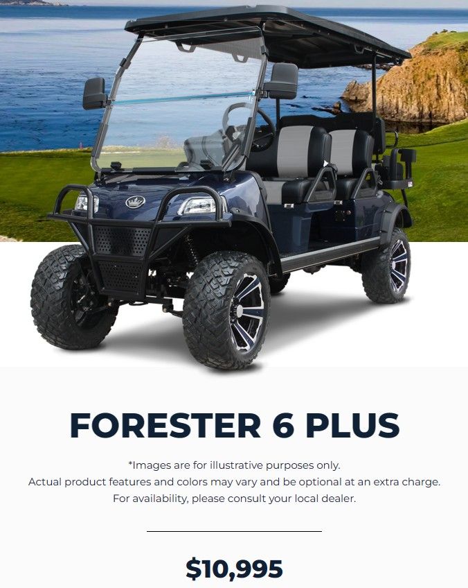 EVolution Golf Carts Matt's Custom Golf Carts