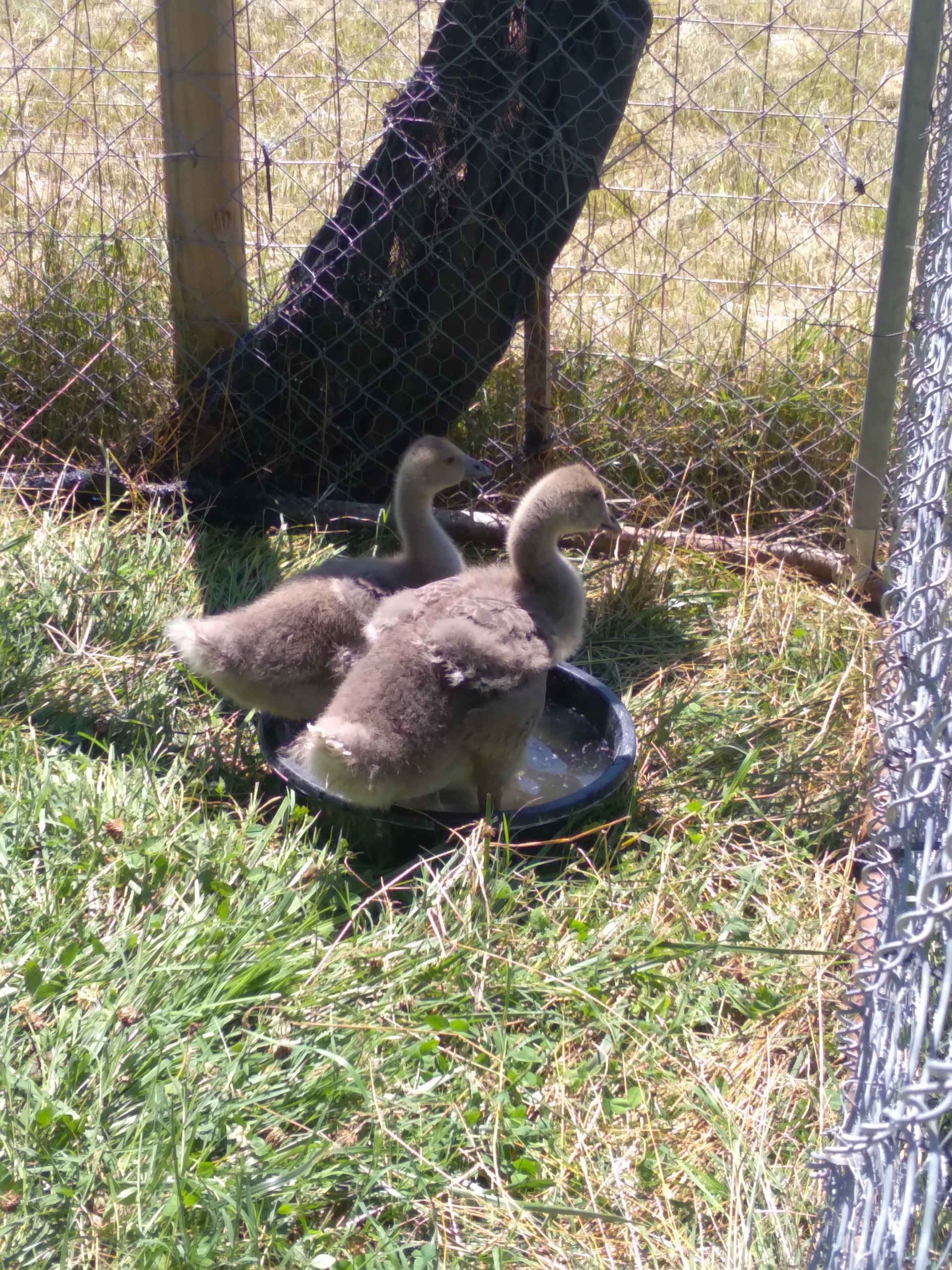 Photo Gallery South Jersey Farms