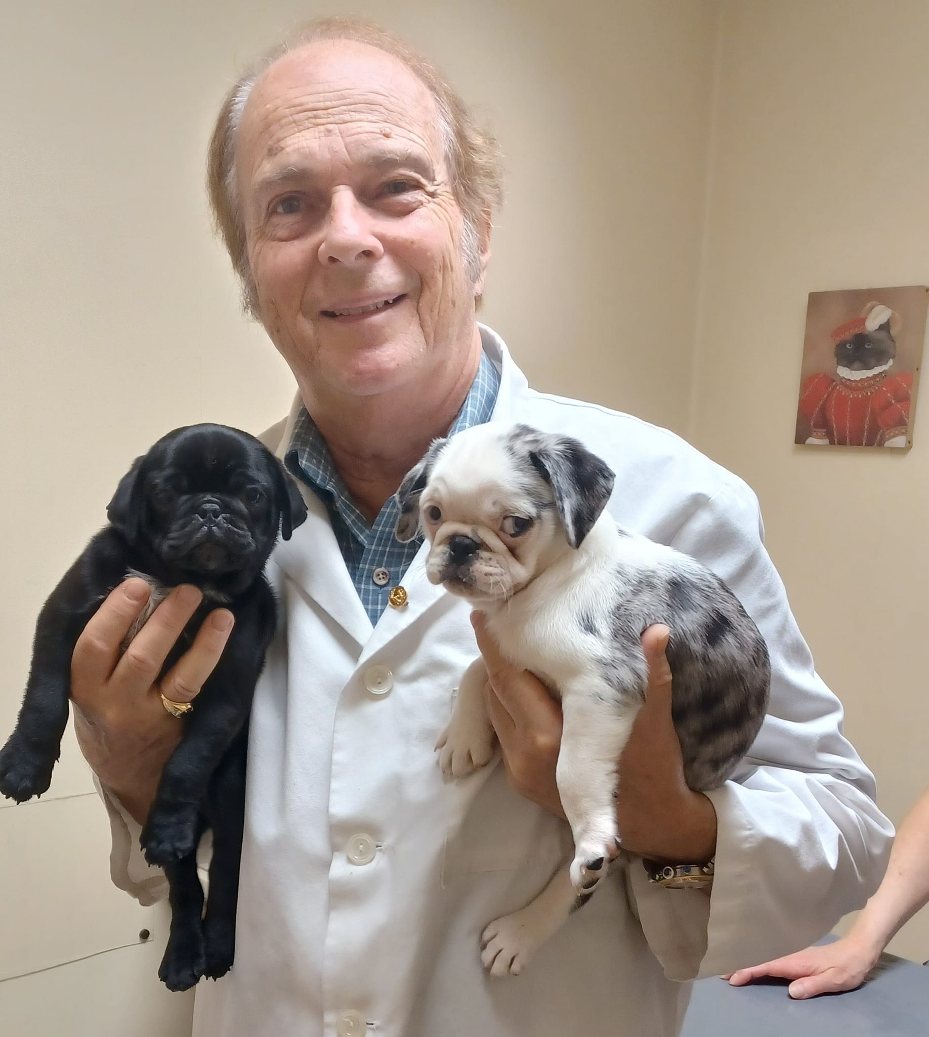 Stephens City Animal Hospital Gallery Stephens City VA