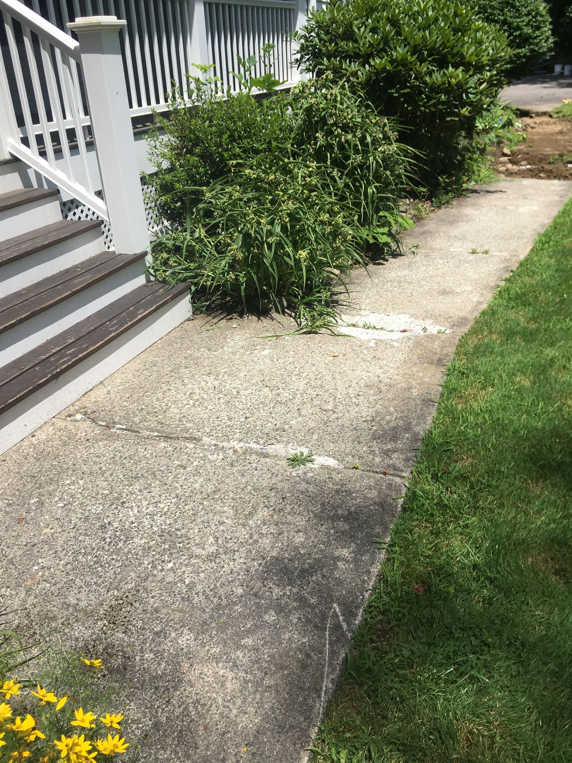 Concrete walkway next to green lawn and stairs, overgrown with bushes.