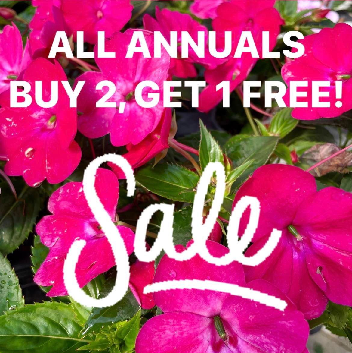 Greenhouse Hartman's Towne & Country Greenhouse Manitowoc WI