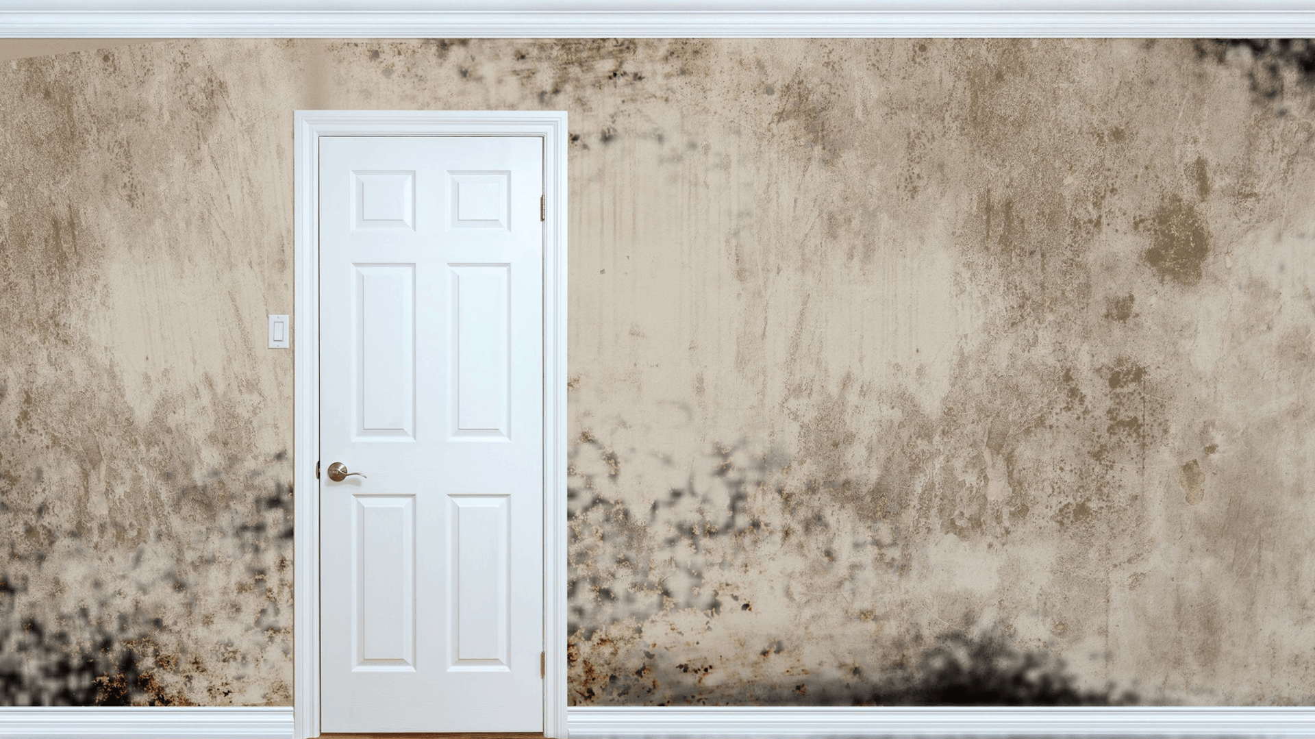 Flood Pros Disaster Restoration Services Rockford IL