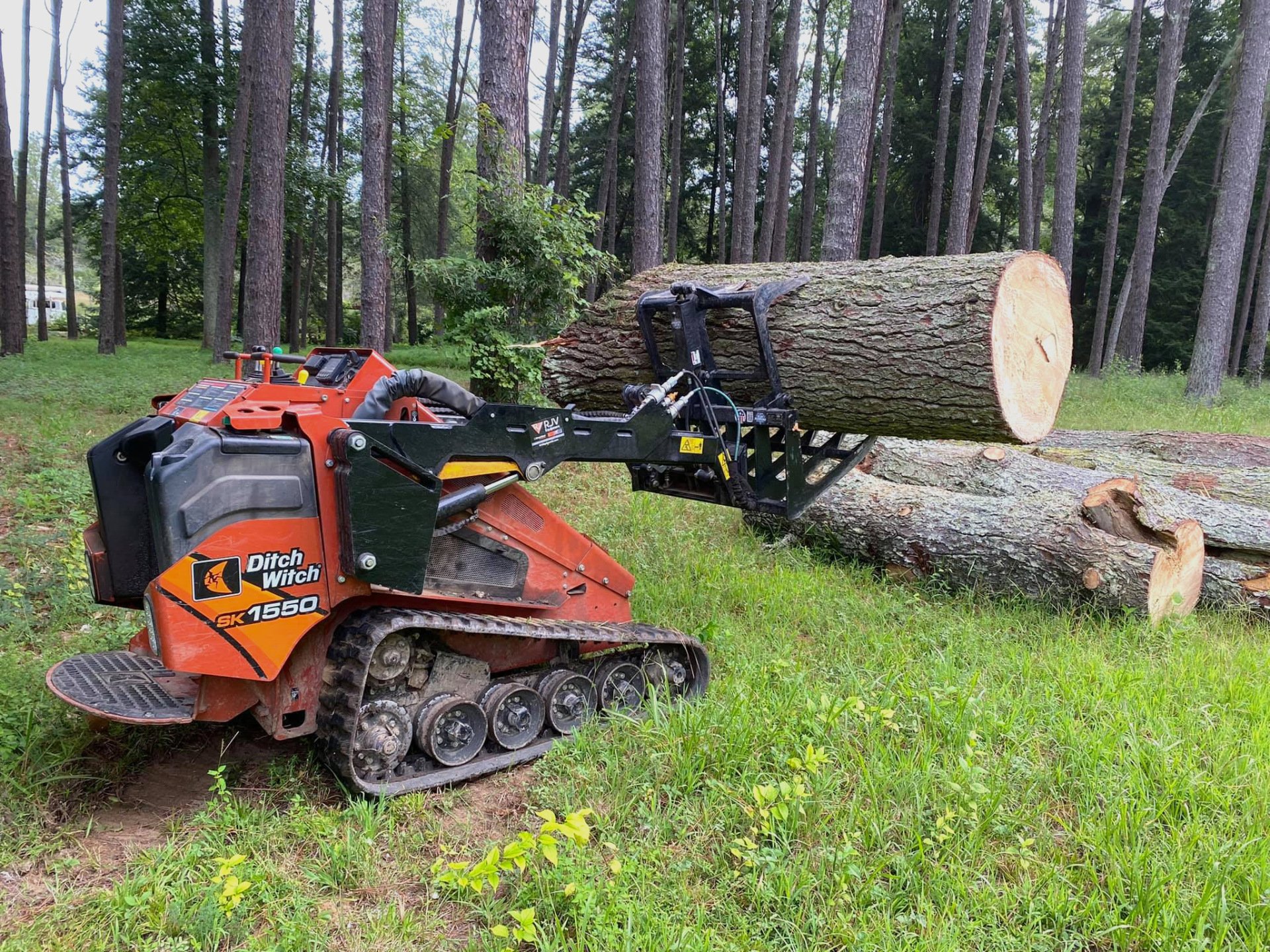 Tree Removal Wysong Tree Service Chattanooga, TN