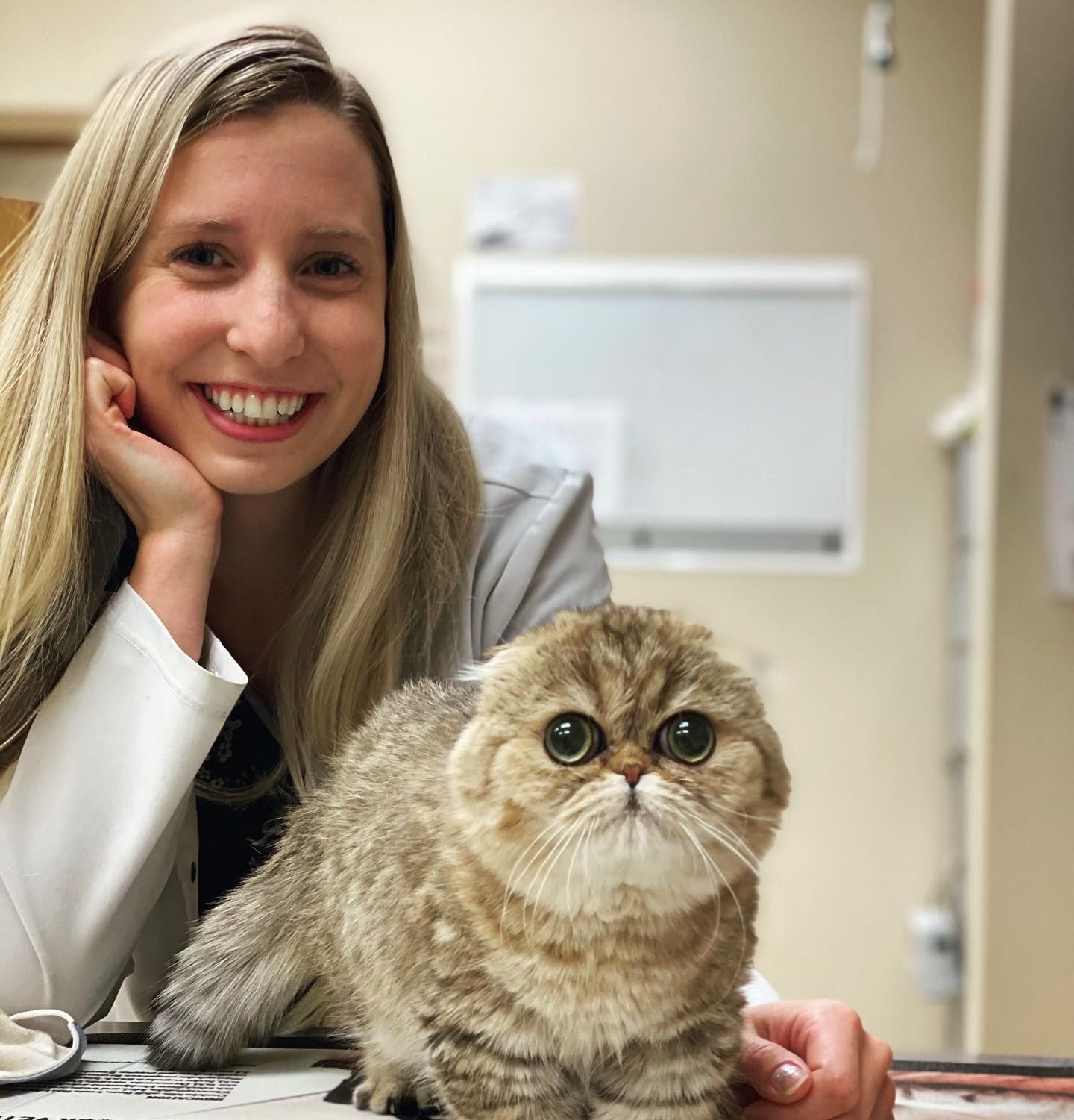 Meet the Drs. at Cornerstone Animal Clinic Brandenburg, KY