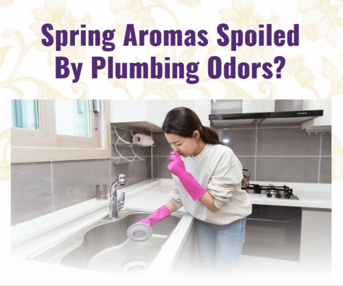 Woman in pink gloves inspecting a kitchen sink drain; text reads “Spring Aromas Spoiled By Plumbing Odors?”