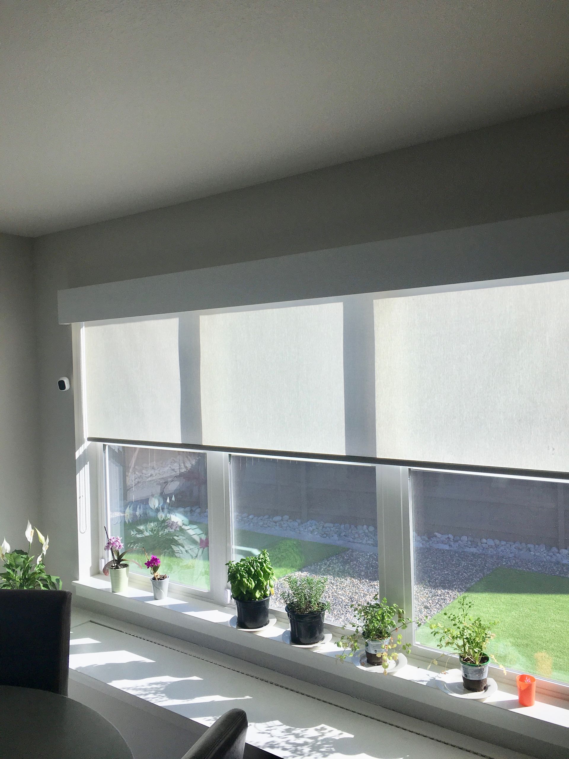 Custom Window Shades in Colorado Springs | The Blind Man