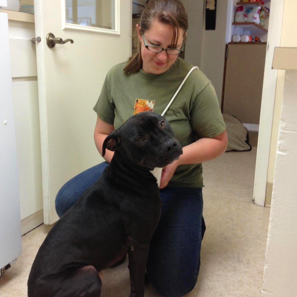 About Gem Crest Kennels Boise, ID Pet Grooming