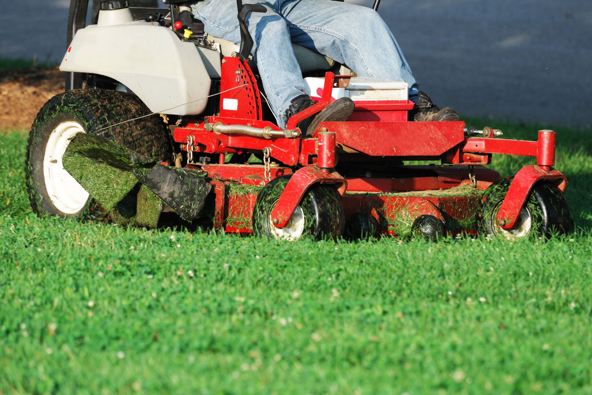 Best Lawn Care Service Boise, ID D's Lucky Lawn Care LLC