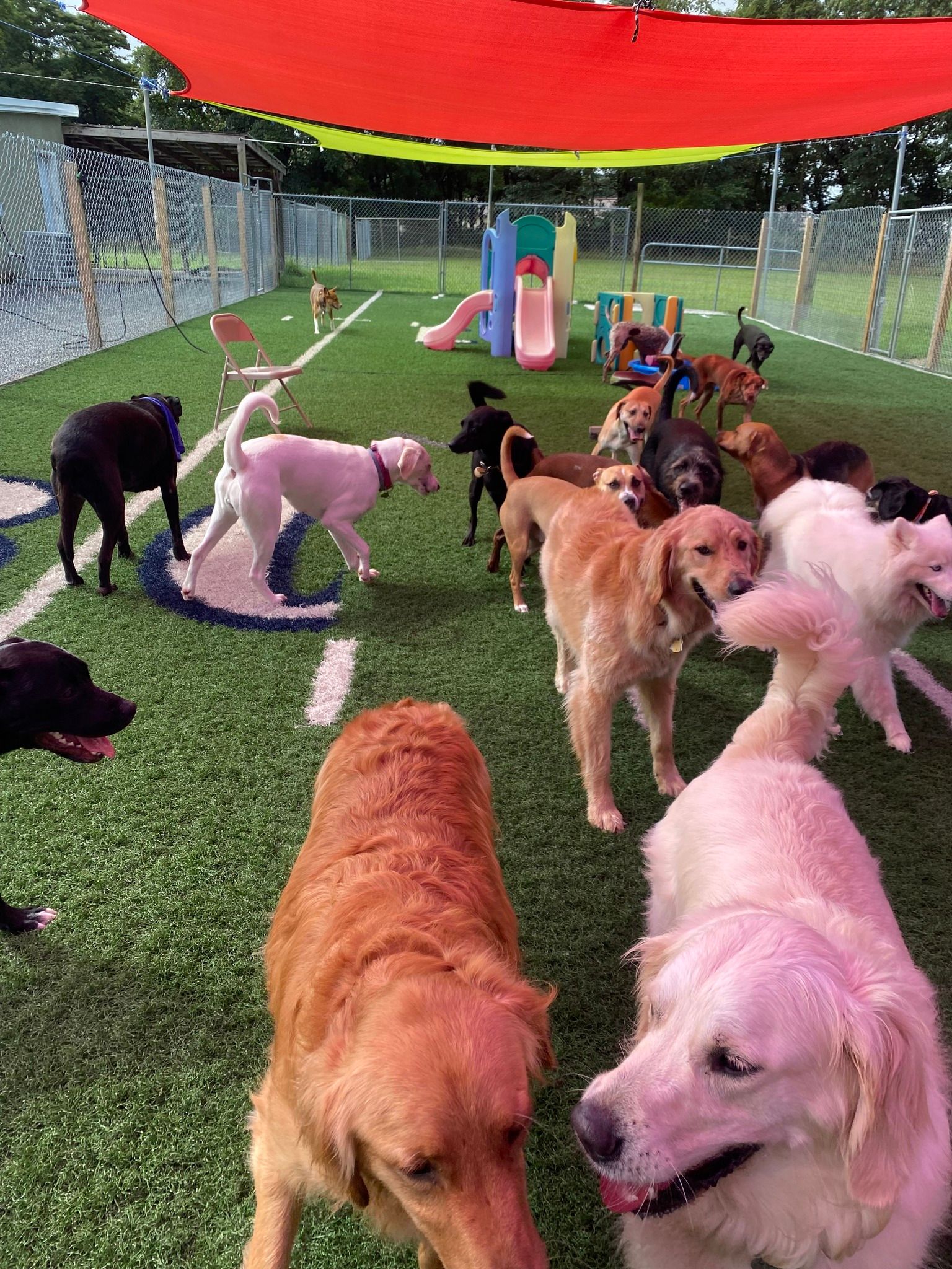 All Seasons Pet Resort Photo Gallery Freehold, NJ