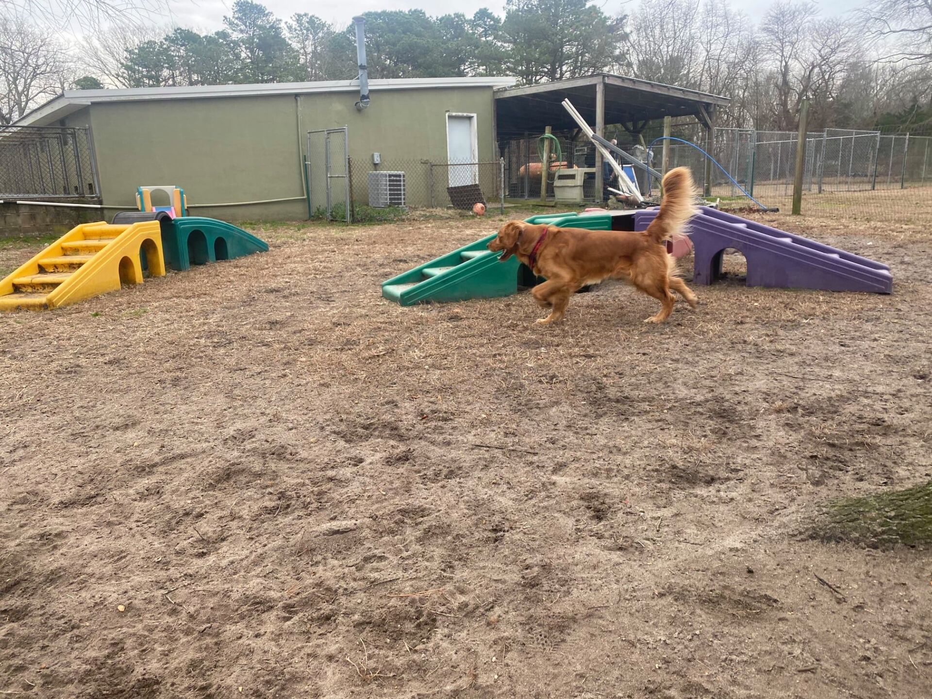 All Seasons Pet Resort Photo Gallery Freehold, NJ
