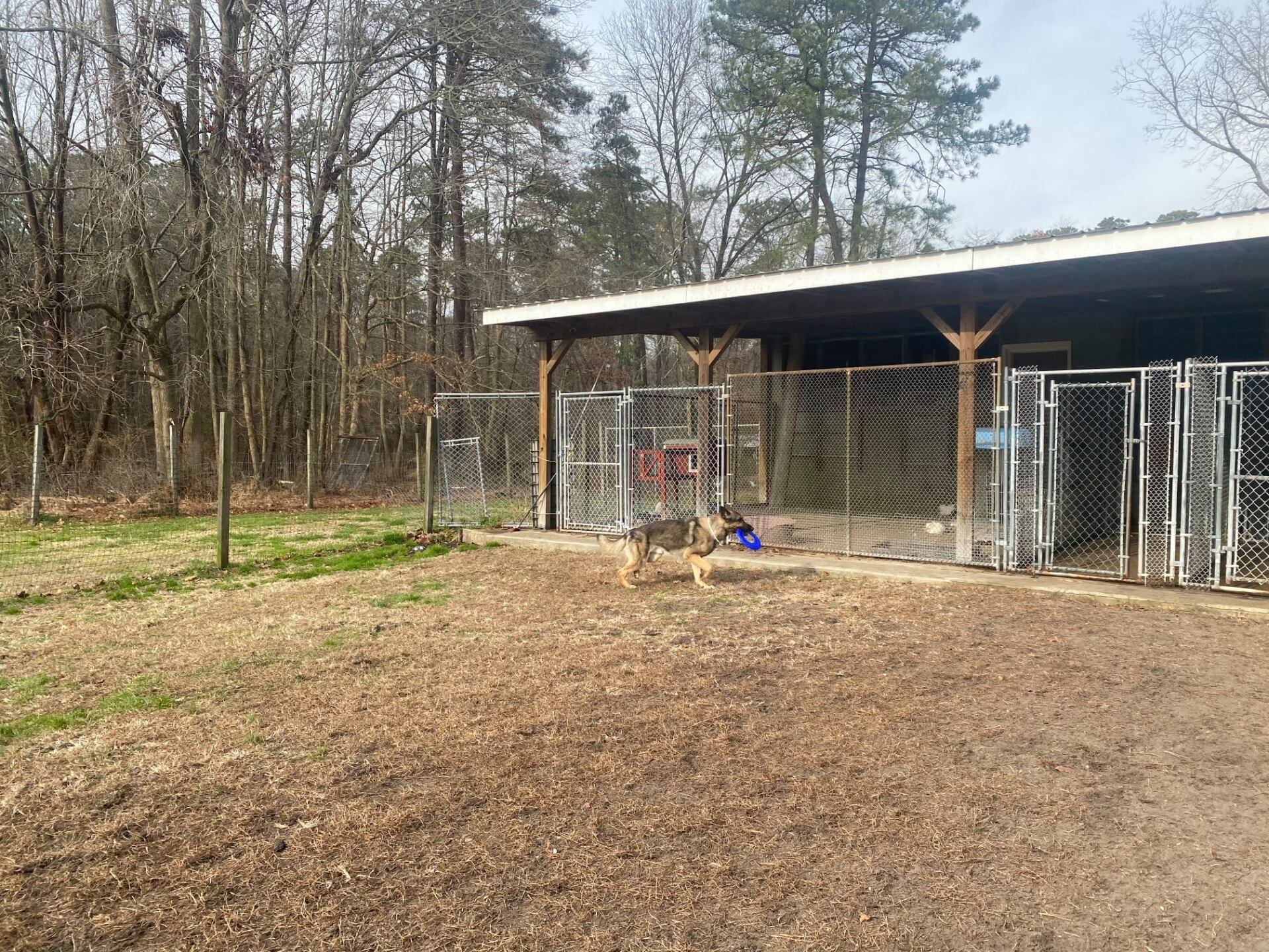 All Seasons Pet Resort Photo Gallery Freehold, NJ