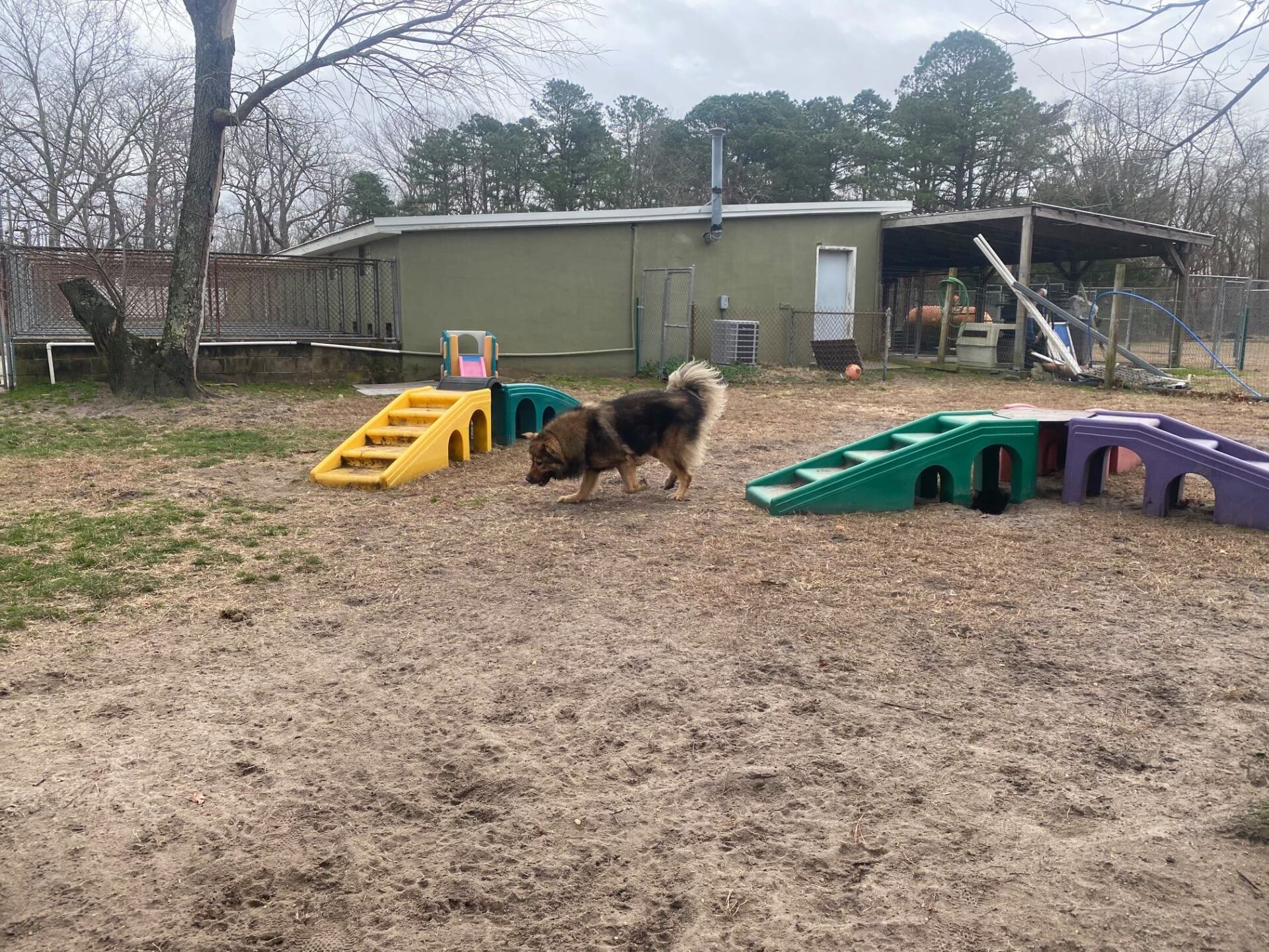 All Seasons Pet Resort Photo Gallery Freehold, NJ