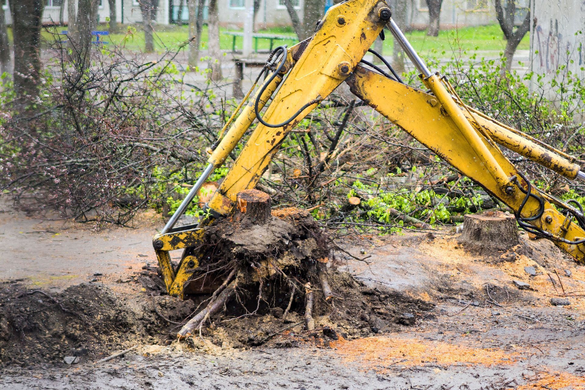 Landscaping Fox Chapel | Adler Tree Service & Landscaping