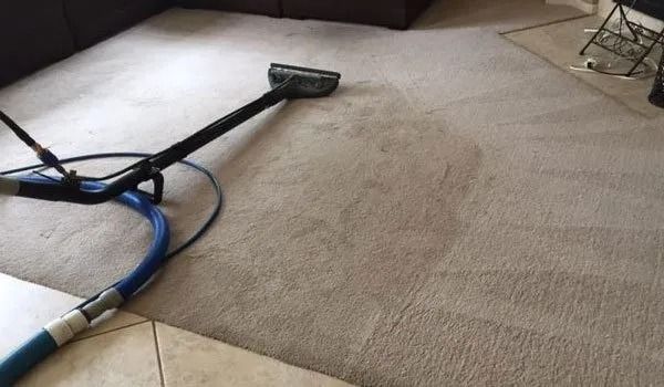 Vacuum cleaner head on a beige carpet with a blue hose in a living room