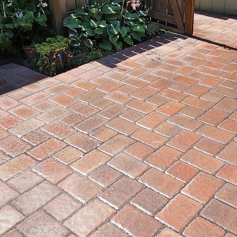 A patio floor paved with rectangular, multi-toned red and tan bricks in a herringbone pattern next to lush green plants.