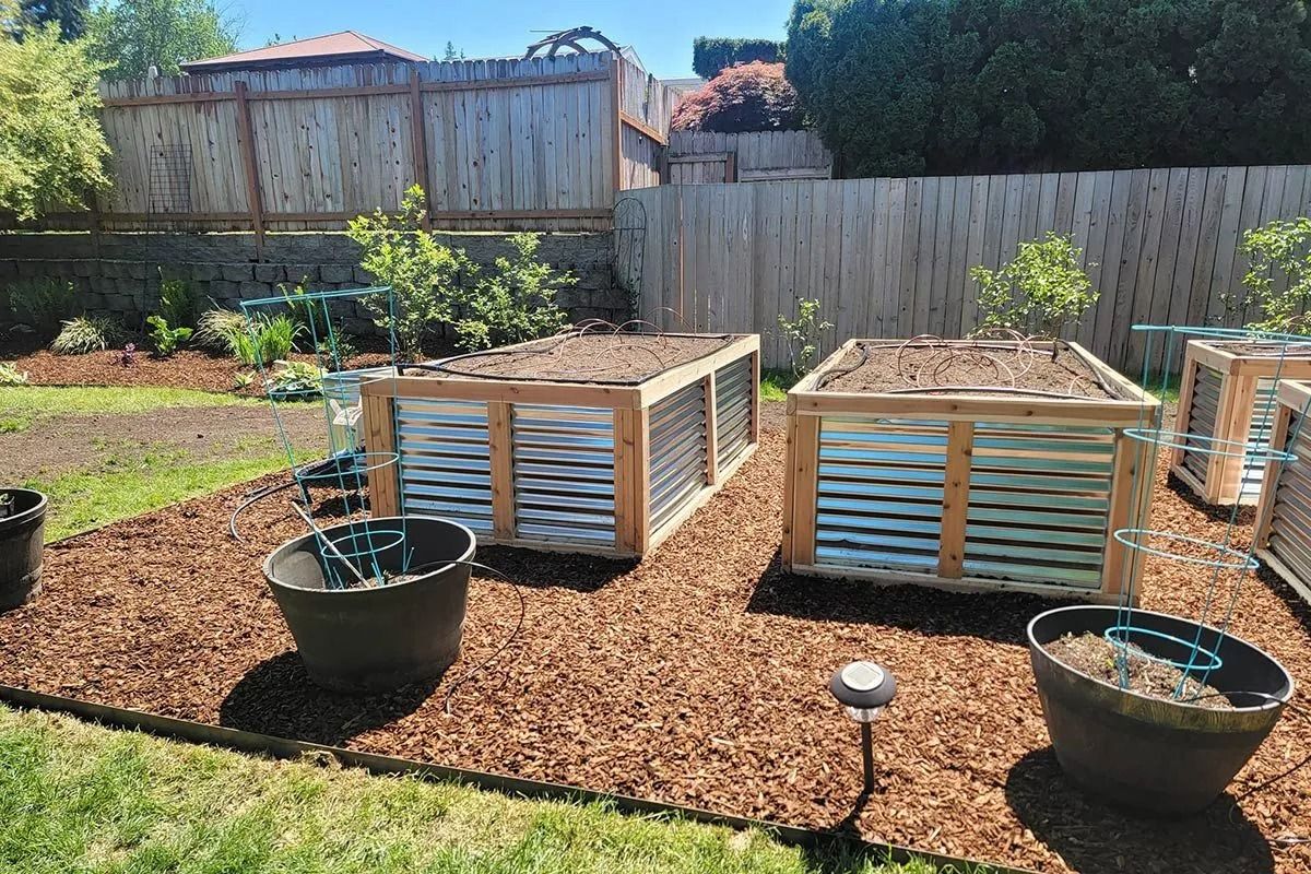 Two raised garden beds with corrugated metal sides and wooden frames sit in a yard covered with wood mulch.