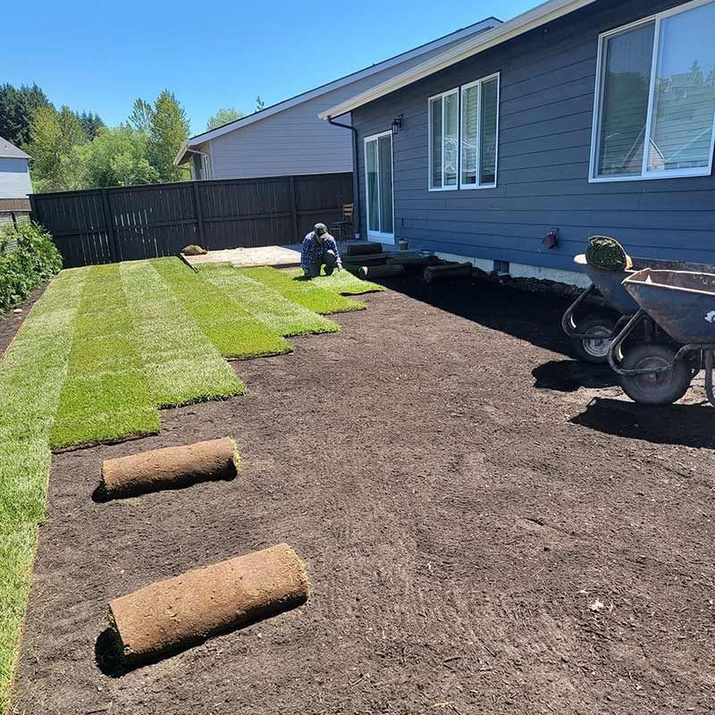 A person installing grass sod in a backyard next to a blue house with a wheelbarrow nearby.