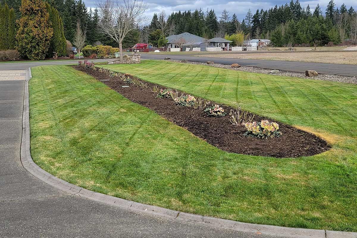 A curved garden bed with dark mulch and small plants sits in the middle of a green lawn next to a paved road.