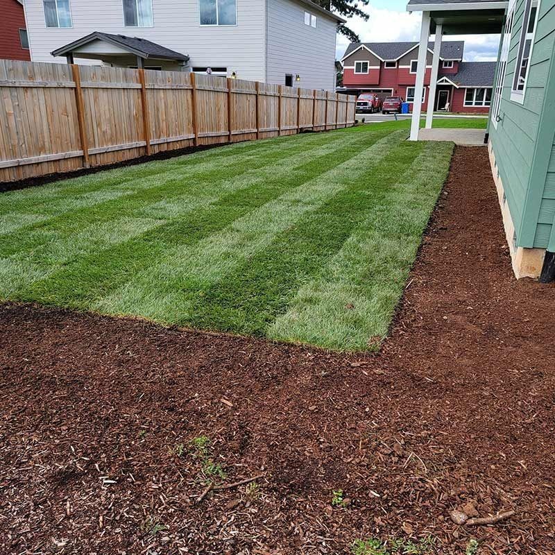 A freshly landscaped backyard featuring a striped green lawn bordered by a wood fence and a strip of brown mulch.
