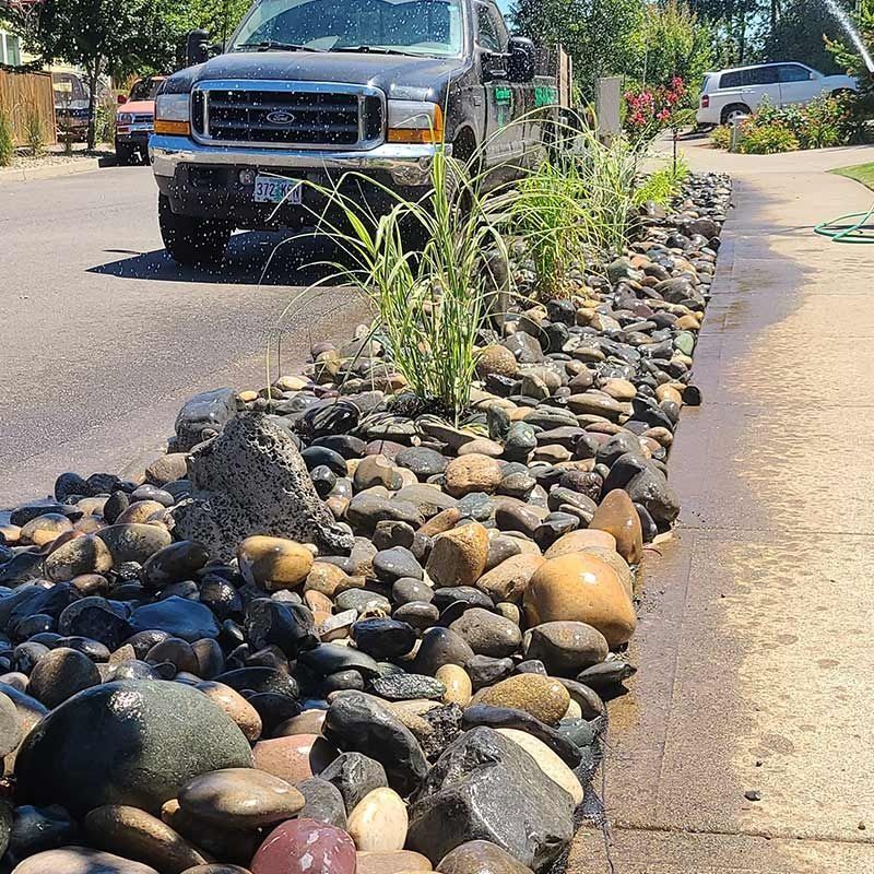 A landscaped garden strip with river rocks and tall grasses between a street and a sidewalk, with a truck in the background.