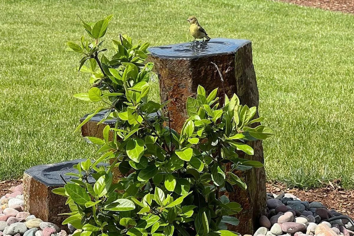 A small, yellow-and-brown bird perched on top of a tiered stone fountain in a grassy garden.