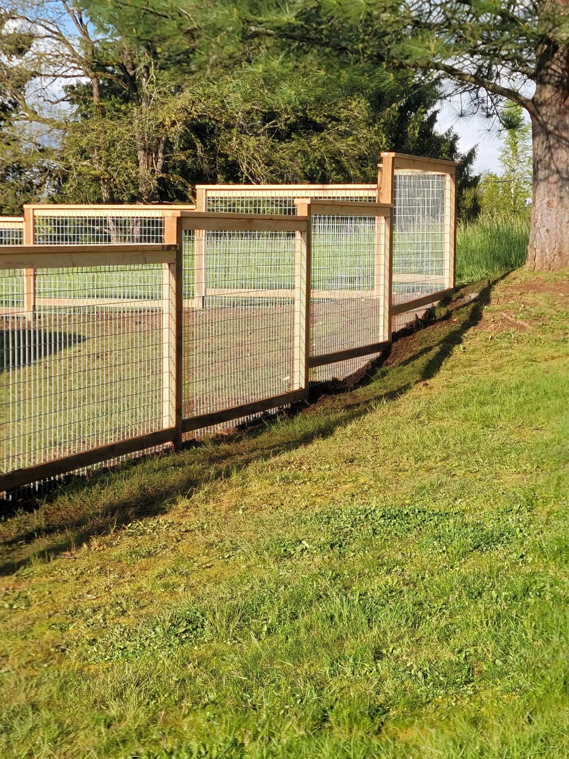 A wooden fence with wire mesh panels curves along a grassy slope near trees under a bright sky.