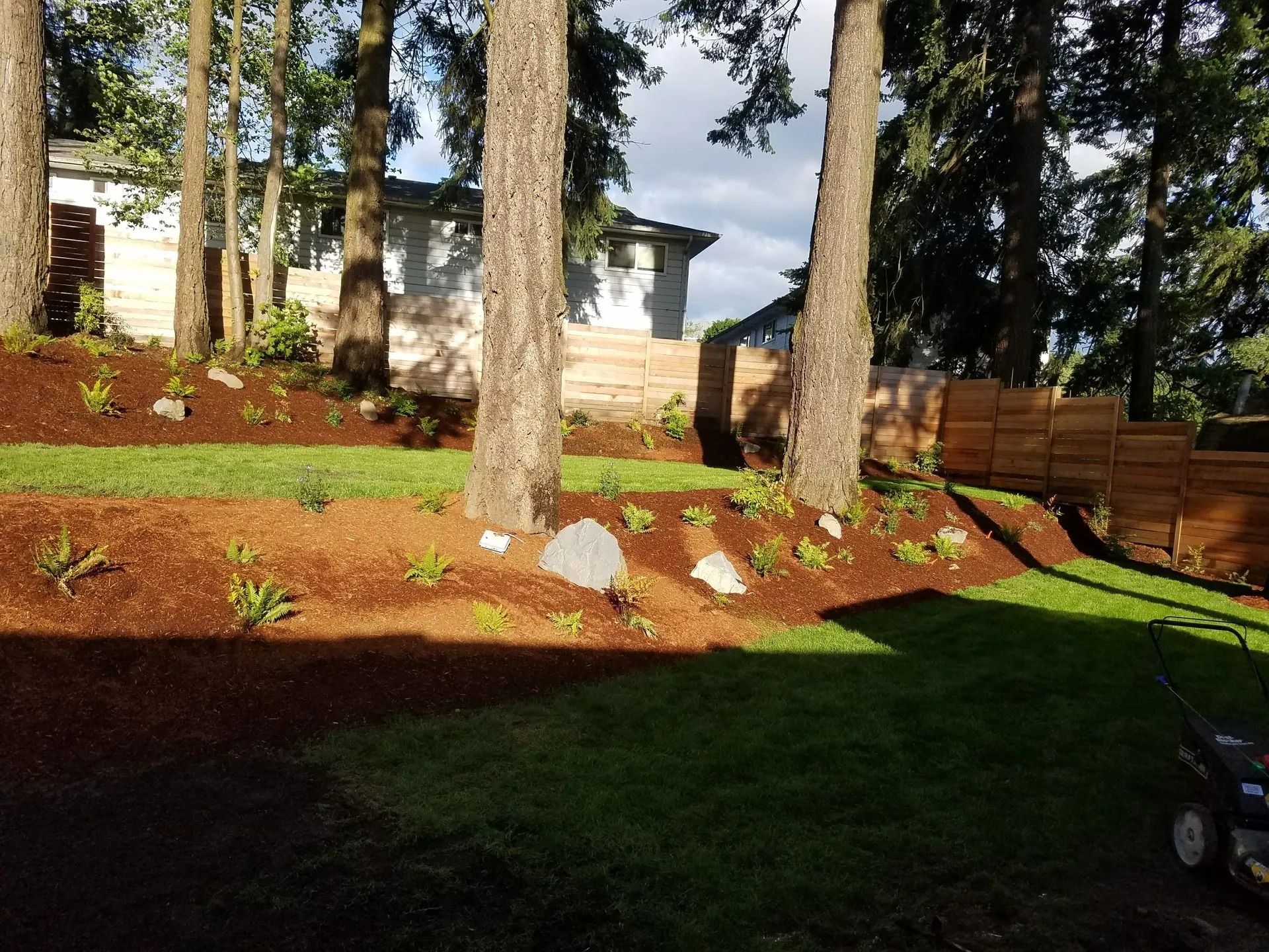 A sloped yard with a wood-mulched garden bed featuring small plants, decorative rocks, and mature trees in front of a fence.