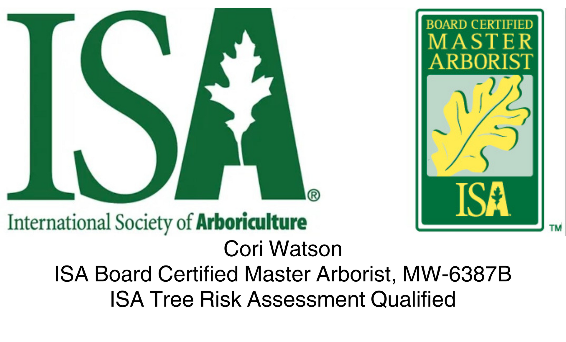 Tree Removal | Arborist | Firestorm Tree Specialists