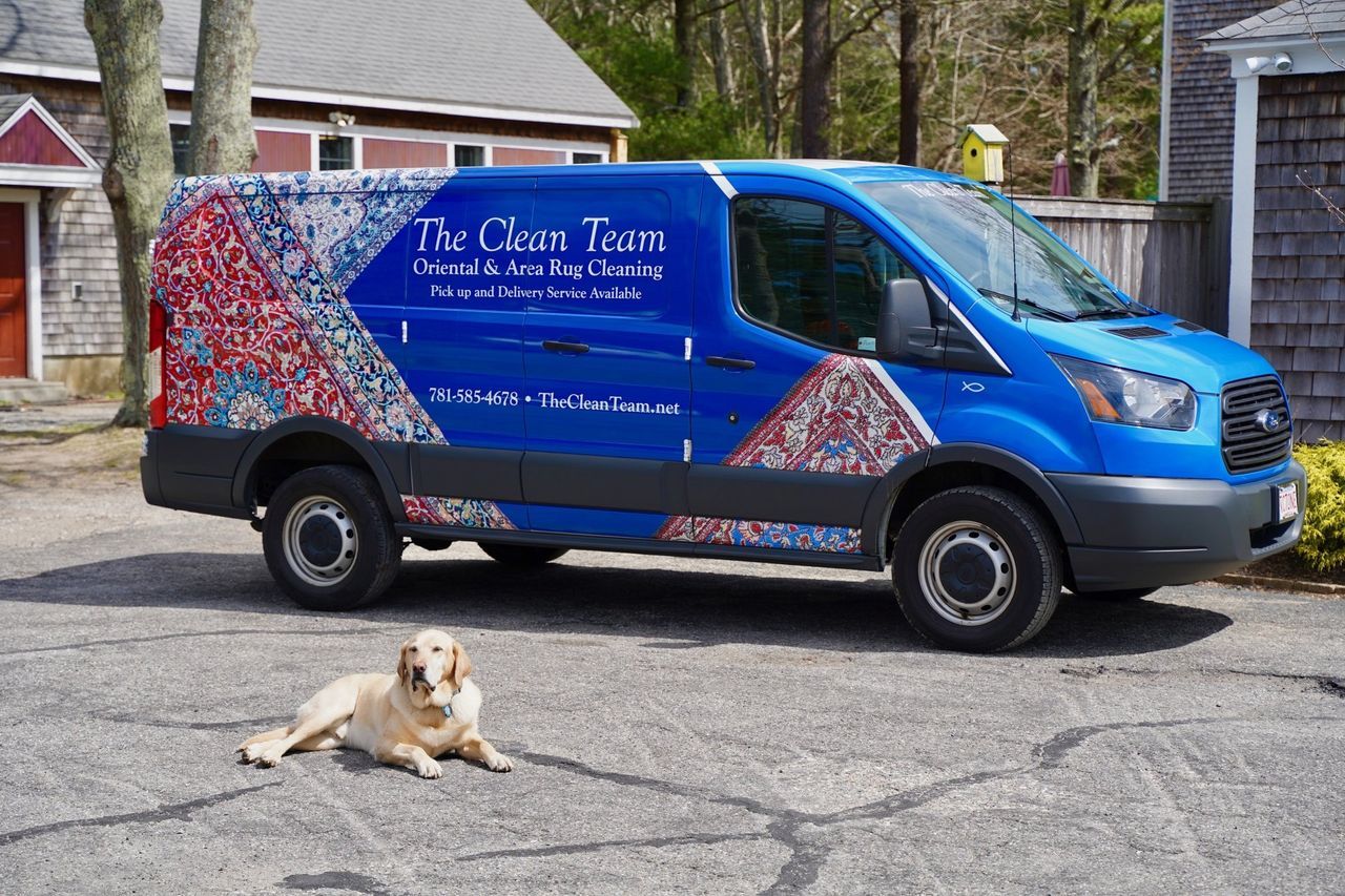 Gallery | The Clean Team