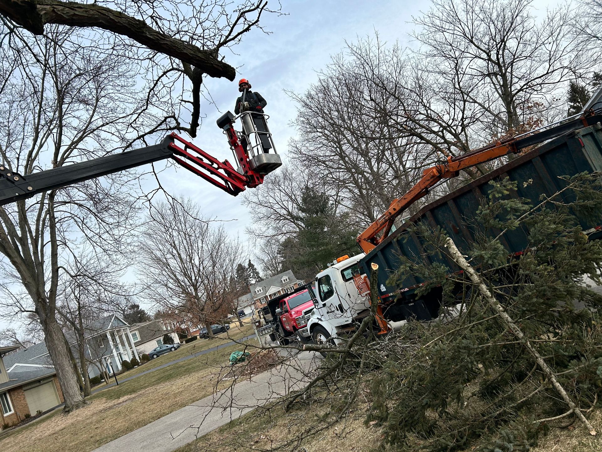 A man is cutting a tree with a crane.