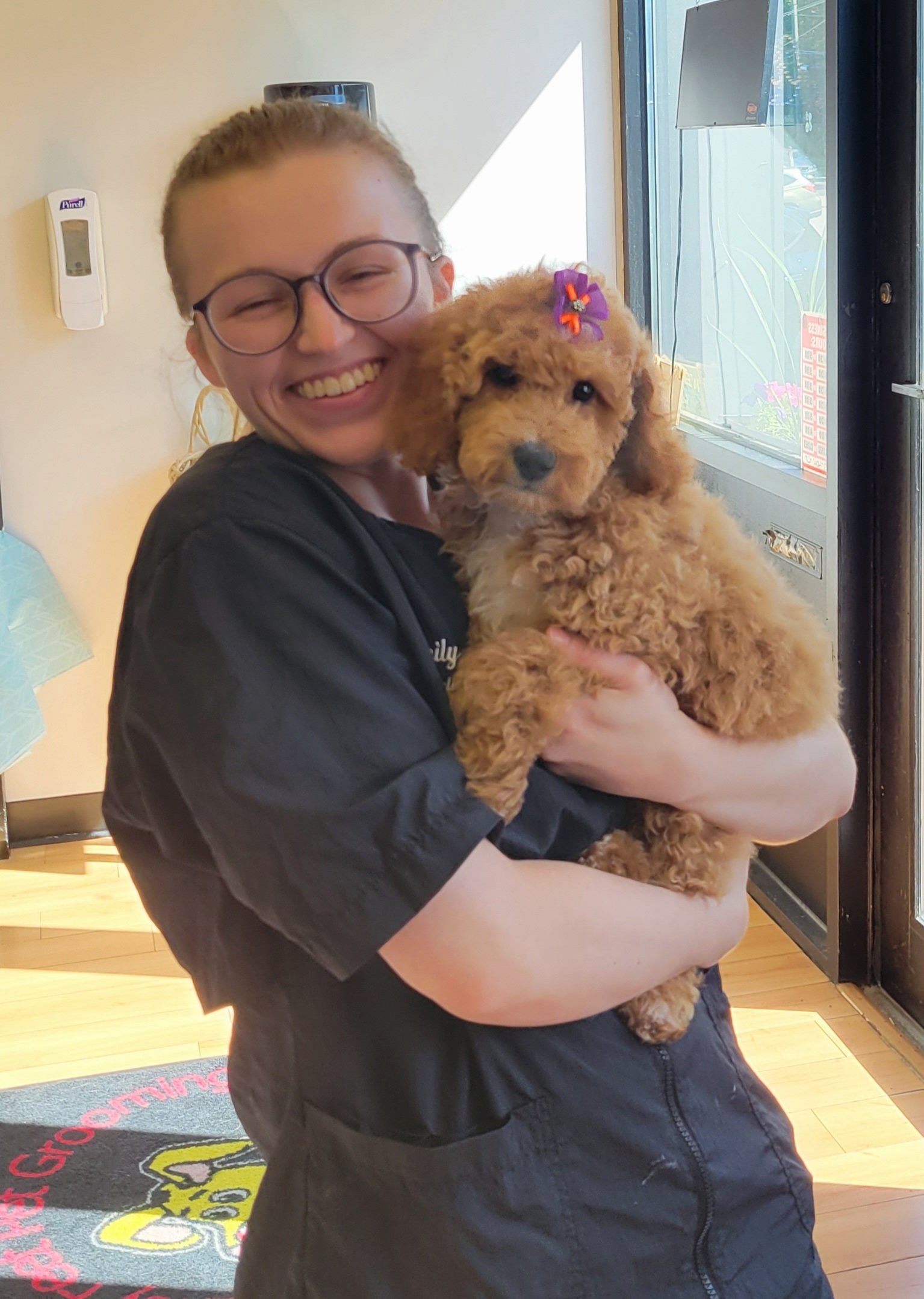 Pet Boarding | Vernon, CT