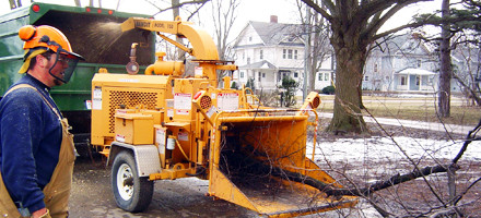 Tree Service | Removal | Stump Grinding | Trimming | Perrysburg, OH