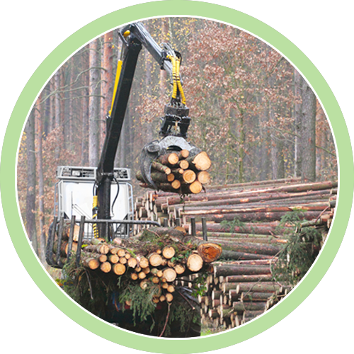 Shorewood Tree Service Tree Care Watertown, MN