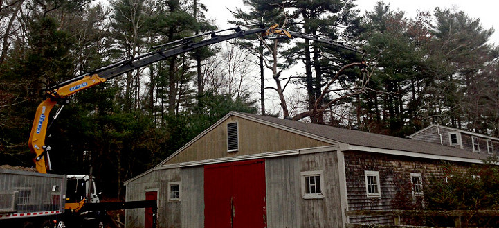 East mckeesport tree removal near