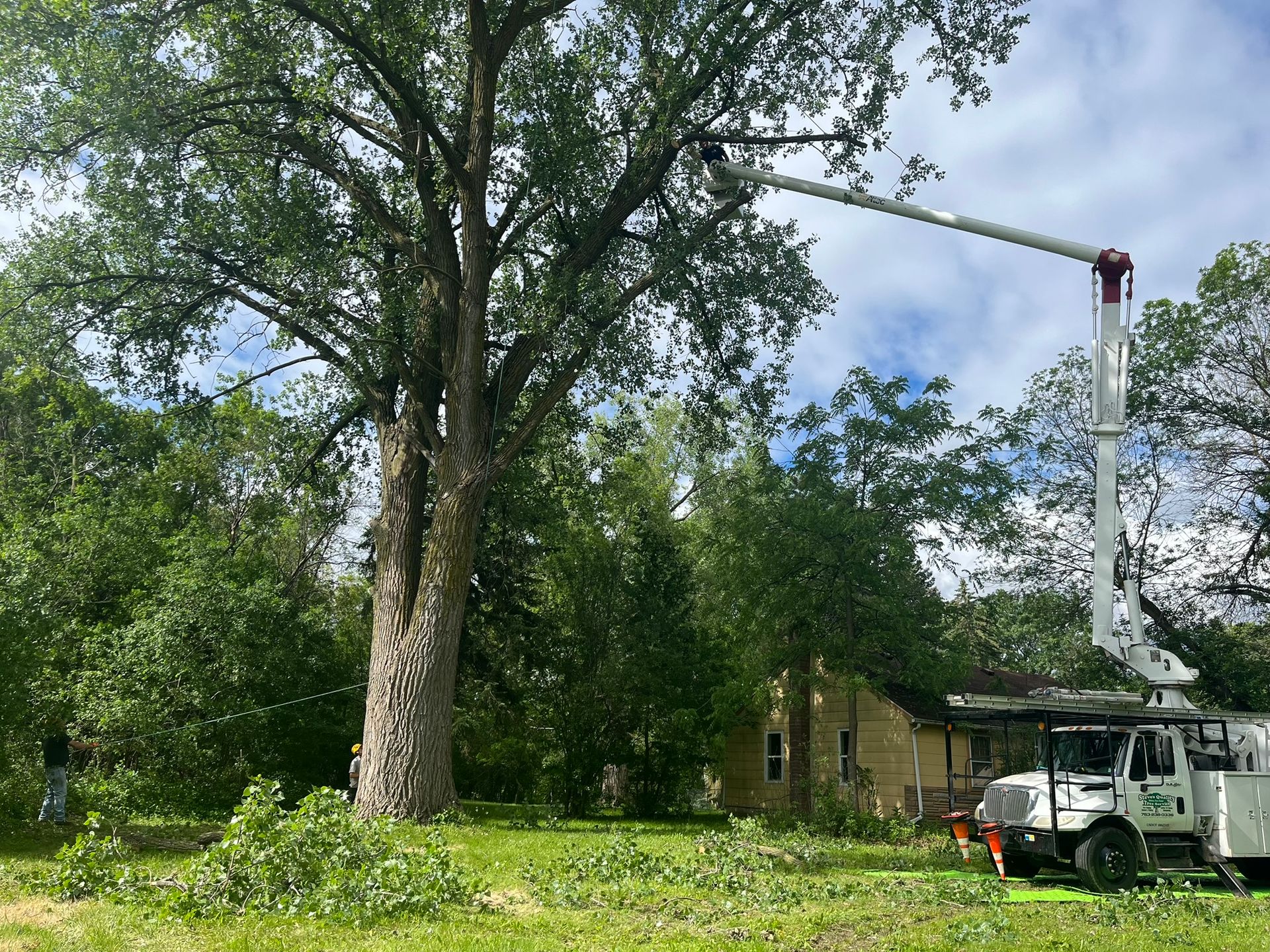 Steve's Quality Tree Service Gallery | Twin Cities