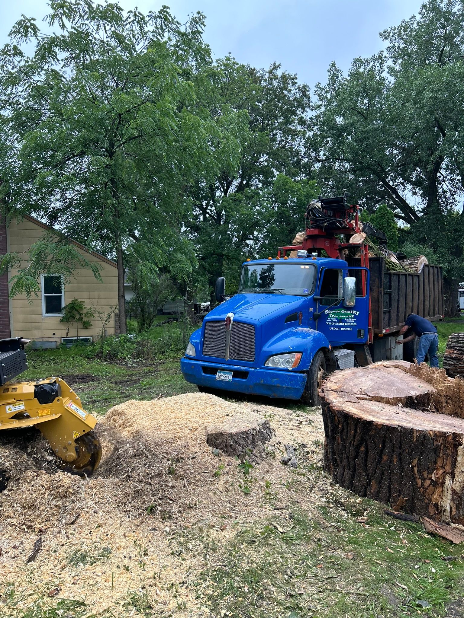 Steve's Quality Tree Service Gallery | Twin Cities