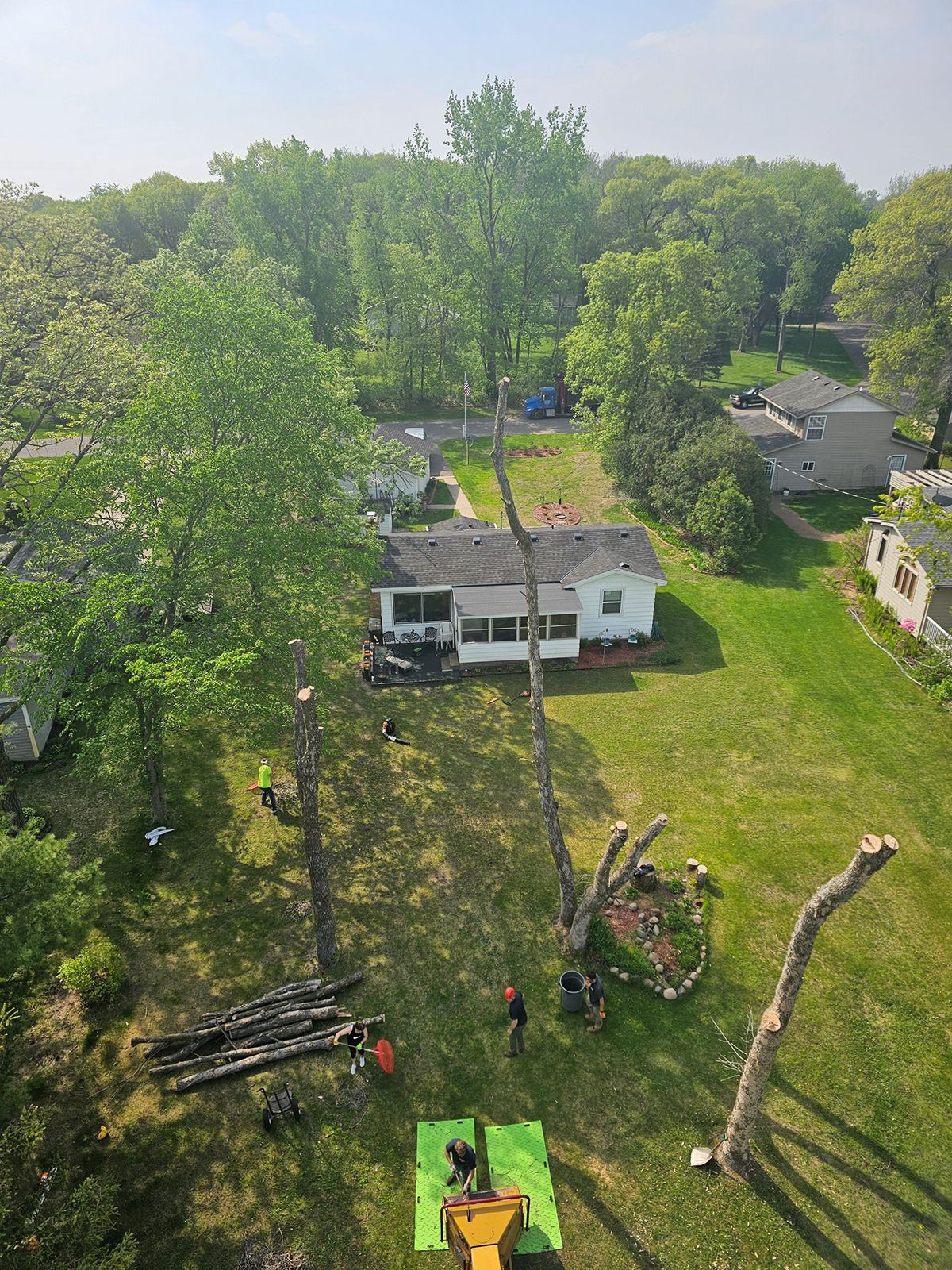 Tree Removal | Steve's Quality Tree Service | Twin Cities