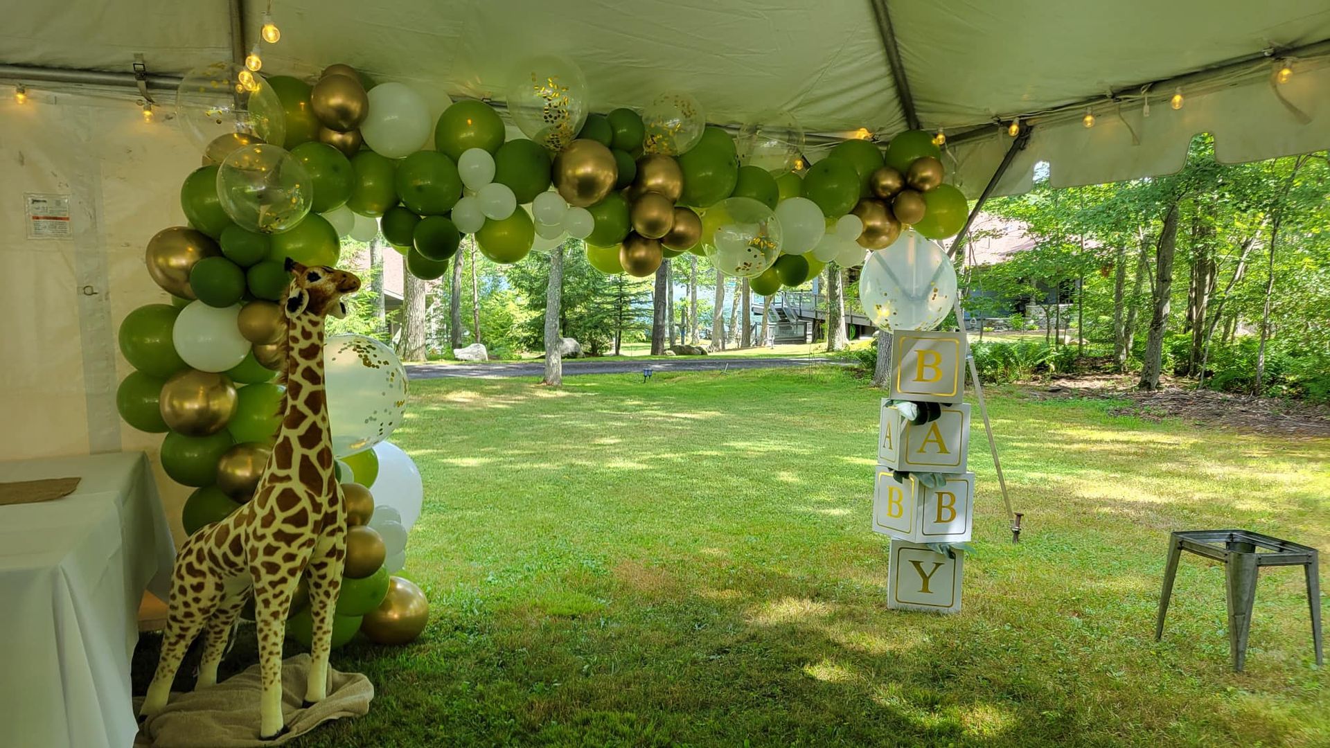 Costume Rental Taney's Costume Shop LLC Scranton, PA