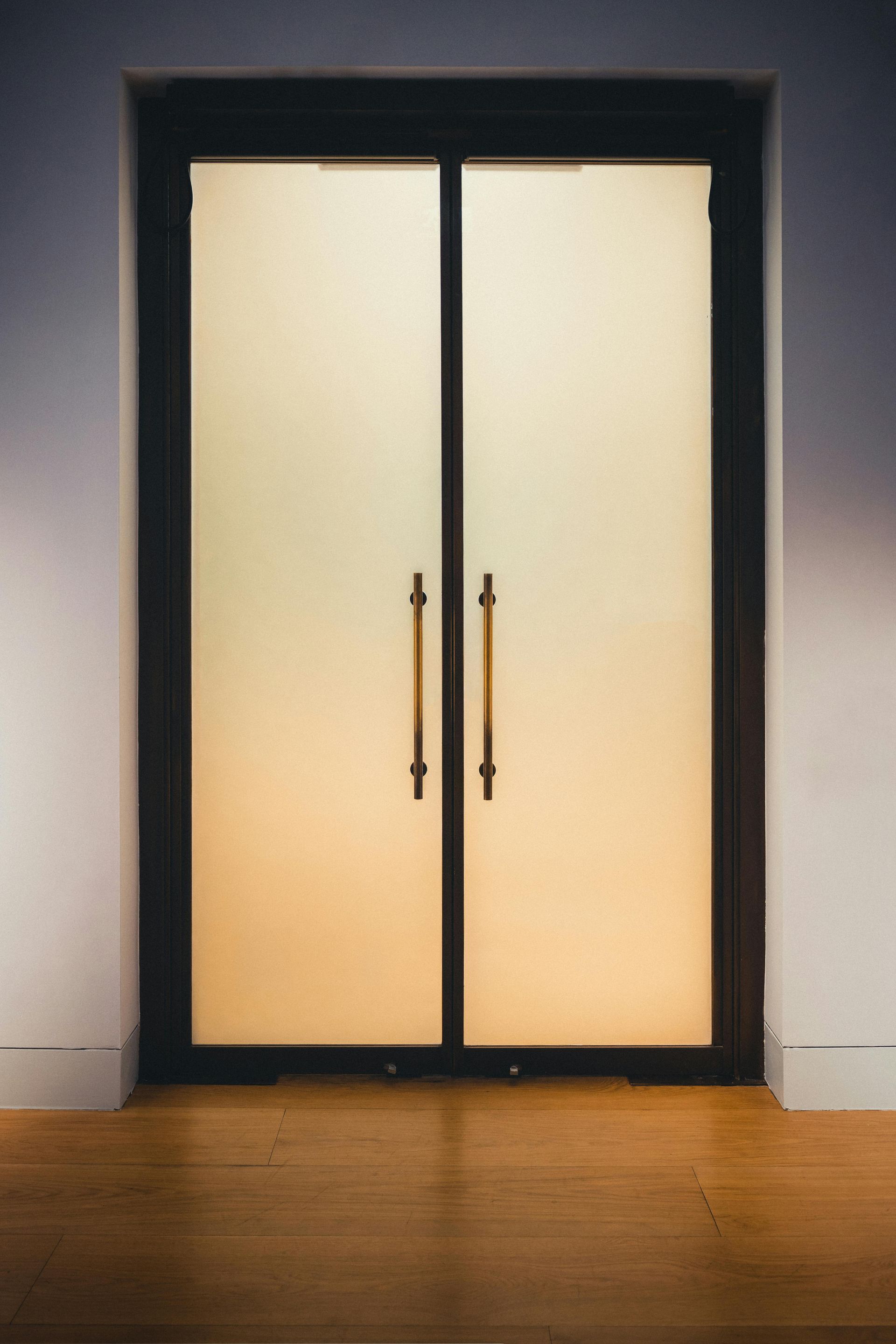 Double doors with frosted glass panels and gold-tone vertical handles, set within a dark frame against a plain wall.