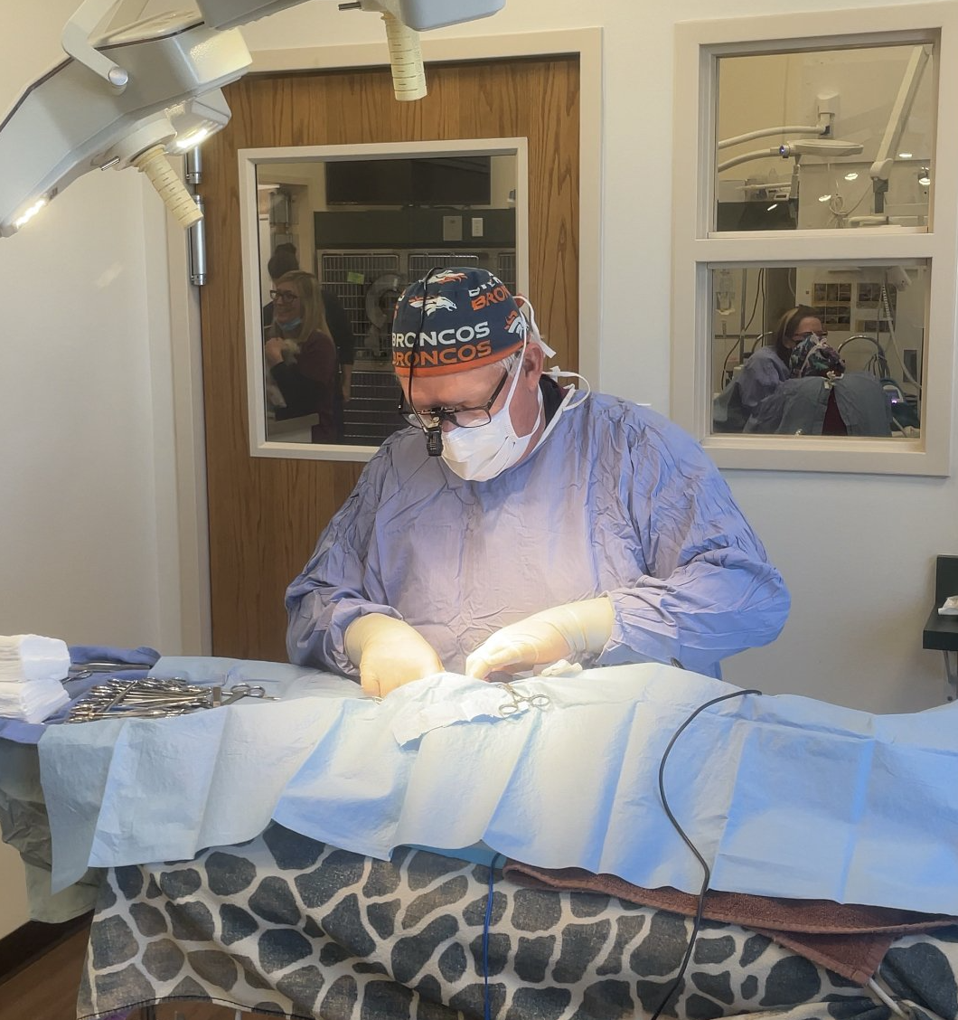 Fremont Veterinary Hospital Vet Services Canon City, CO