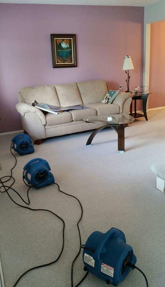 Gallery Fiber Brite Carpet, Upholstery & Tile & Grout Cleaning Inc.