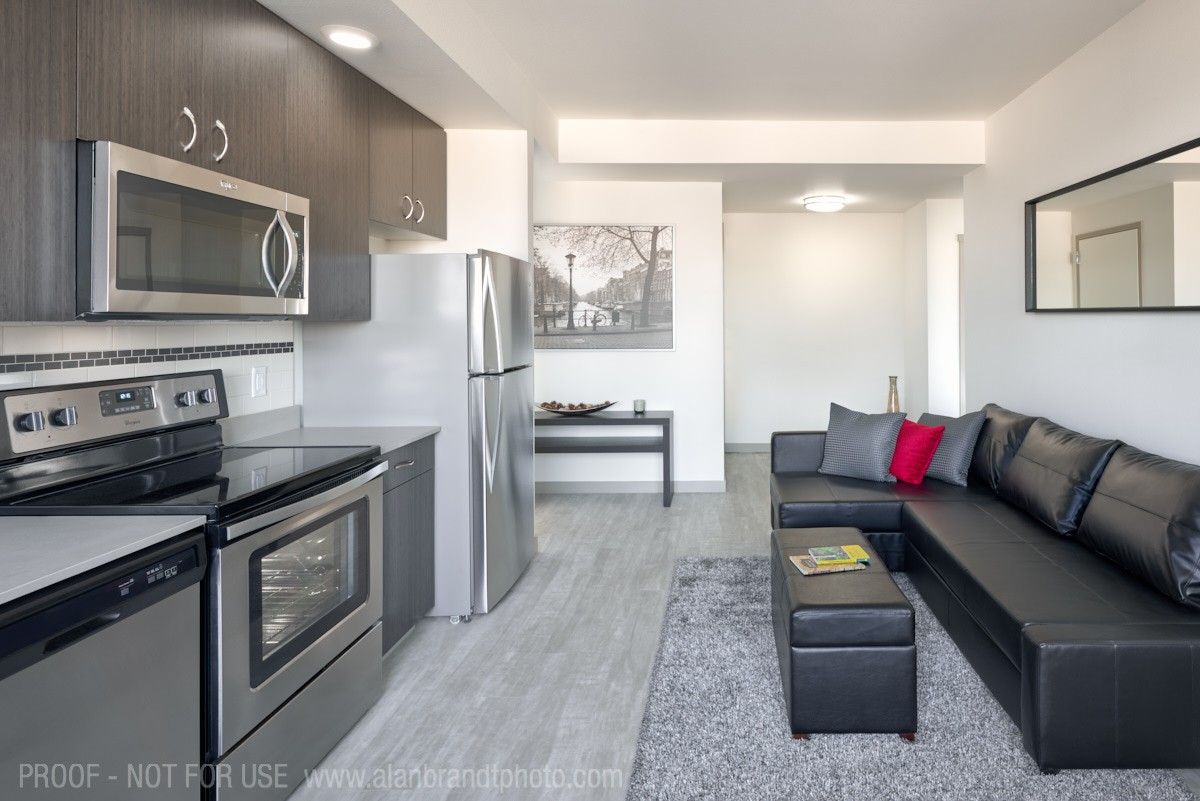 Modern apartment with dark cabinets, stainless steel appliances, grey couch, and a framed artwork.
