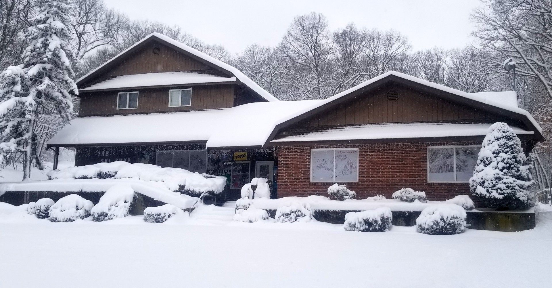 A house is covered in snow and trees are covered in snow