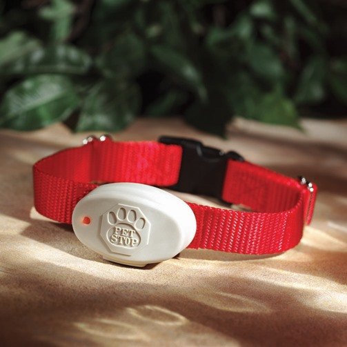 Dog Containment Systems Electronic Dog Fences Olney, MD